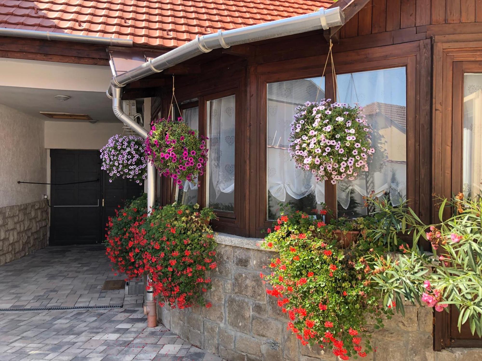 Illa Apartments Eğri Dış mekan fotoğraf